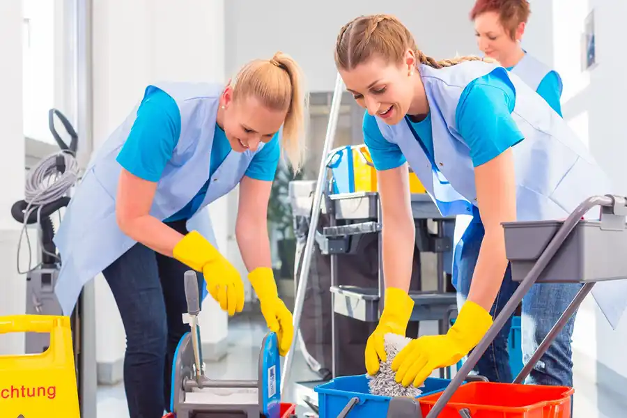 Nilah Cleaning Services's other services